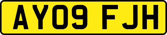 AY09FJH