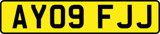 AY09FJJ