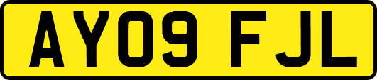 AY09FJL