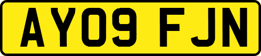 AY09FJN