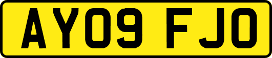 AY09FJO