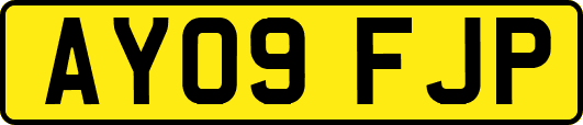 AY09FJP
