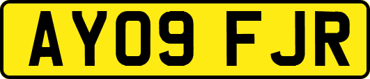 AY09FJR