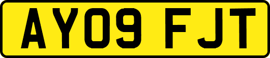 AY09FJT