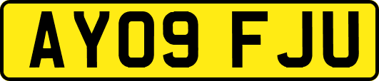 AY09FJU