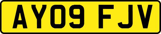 AY09FJV