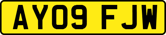 AY09FJW