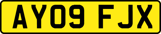 AY09FJX