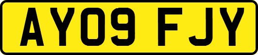 AY09FJY