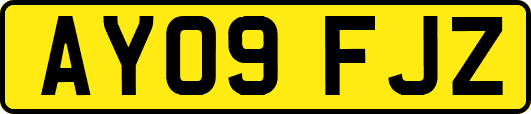 AY09FJZ