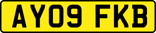 AY09FKB