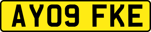 AY09FKE