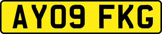 AY09FKG