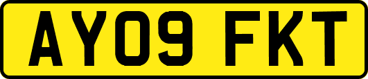 AY09FKT