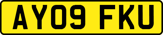 AY09FKU
