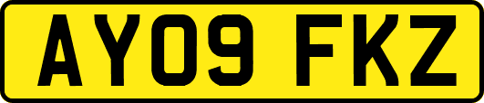 AY09FKZ