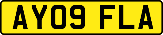 AY09FLA