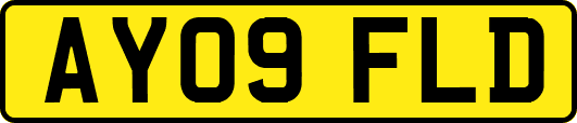AY09FLD