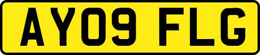 AY09FLG
