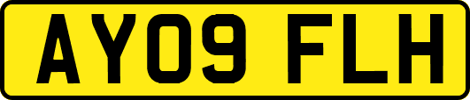 AY09FLH