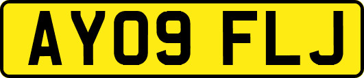 AY09FLJ