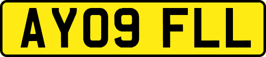 AY09FLL