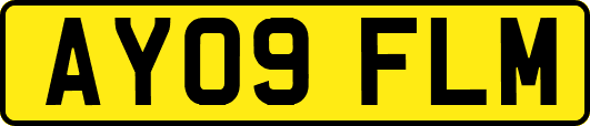 AY09FLM