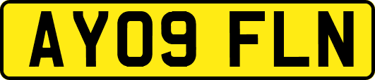 AY09FLN
