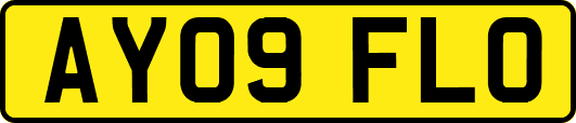 AY09FLO