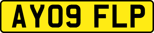 AY09FLP
