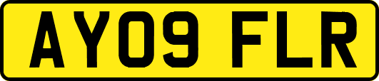 AY09FLR