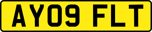 AY09FLT