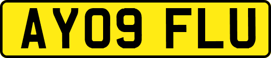 AY09FLU