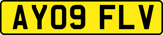 AY09FLV