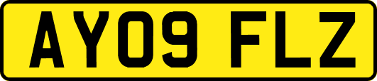 AY09FLZ