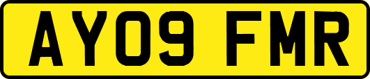 AY09FMR