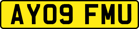 AY09FMU