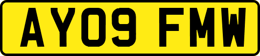 AY09FMW