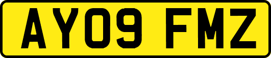 AY09FMZ