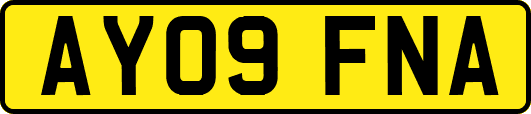 AY09FNA