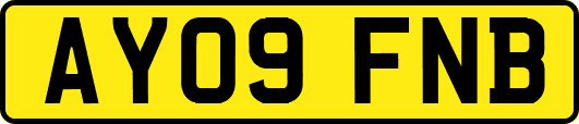 AY09FNB