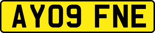 AY09FNE