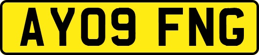 AY09FNG