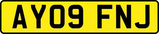 AY09FNJ
