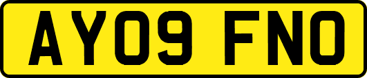 AY09FNO