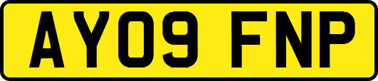 AY09FNP