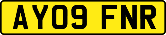 AY09FNR