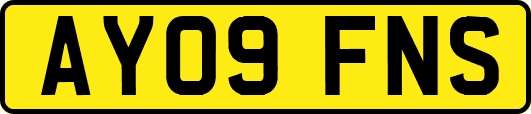 AY09FNS