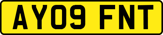AY09FNT