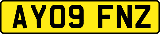 AY09FNZ